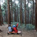 고흥우주주유소 이미지