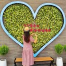 군위(부산)주유소 이미지