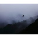 강가에아침 이미지