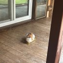 양평불한증막 이미지