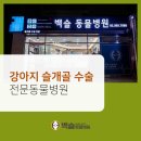 건 동물병원 이미지