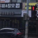 동물진료법인 포레스트 이미지