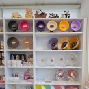 패러그린샵 동래점 | 부산 햄스터 분양 용품까지 다양한 패러그린샵 동래점