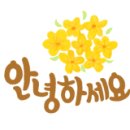 청계벌꿀