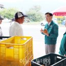 일소