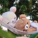 계룡산글램핑파크오브드림 네이버블로그
