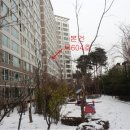 정자천로188번길 이미지