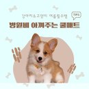강아지 쿨매트 병원비 아끼는 선택 해피앤퍼피 VS 시온 비교