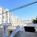 목화아파트