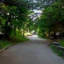 천왕근린공원 - 2428 | 천왕근린공원