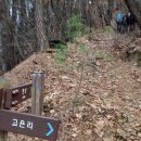 12월 정산(송년)산행으로 대룡산에 묻히다 이미지