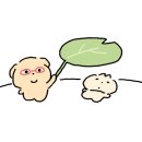 왔다곱창 이미지