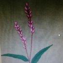 들꽃자수 이미지