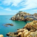 산과바다 Daum카페