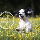 산수유동물병원 이미지