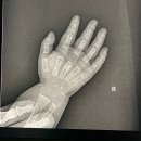 재원약국 | 대한민국에서 중환자실 간호사로 살아남기 1년차에서 2년차까지