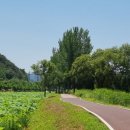 공주공원 이미지