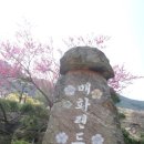 매화랜드 앞 이미지