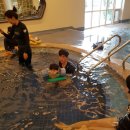 지혁목장 | 제주여행2일차- 제주신라호텔 부대시설 수영장, 짐보리 이용후기/ 꺼멍목장 흑돼지구이