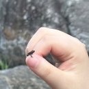 용소계곡 주차장 화장실 이미지