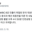 WBC 탈락 한국대표팀 내일 비행기로 귀국 이미지