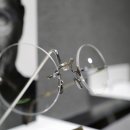 씨샵플래그쉽 이미지