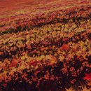 가나태양광발전소 이미지