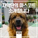 21세기자막단 네이버블로그