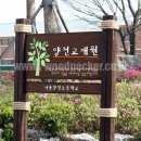 서울양천초등학교 이미지