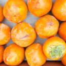 삼칠농장 이미지