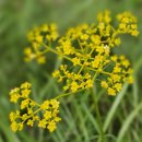 계정1리마을회관 이미지