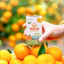 농업회사법인(주)자담 - 서귀포시 | 농업회사법인(주)자담