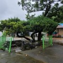 고명리 마을회관 이미지