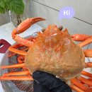자연애 | 박달홍게 제철 자숙홍게 찌는법 _ 자연애수산 내돈내산 솔직후기