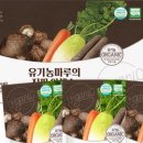 경북야채