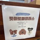 회원펫 | 인정한 펫 아로마 케어, 직접 배우는 클래스 도심 속 힐링, 반려견과 함께하는 펫 아로마 클래스 후기