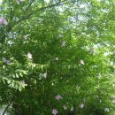 동서공원 이미지