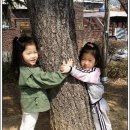 짝지 Daum카페
