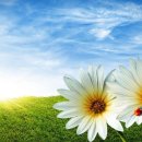 유니스어학원 이미지