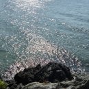 시원하지흉부외과의원 이미지