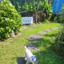 채우리네 이미지