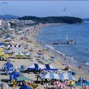 대천해수욕장 이미지