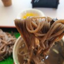 알파창원대점