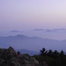 청학화원
