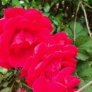 예원경로당 이미지