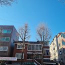 예쁜유치원 | 영어) 링키영어 체험수업 3월 안내-1만원할인이벤트(삼성초,한림유치원,예쁜동화나어린이집 홍보후기)