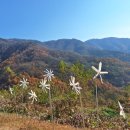 로드파크가로공원 이미지