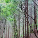 은천마을회관 이미지