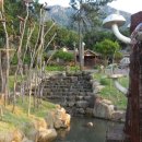 편백숲황토팬션 이미지