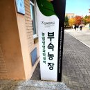 계선농장 이미지